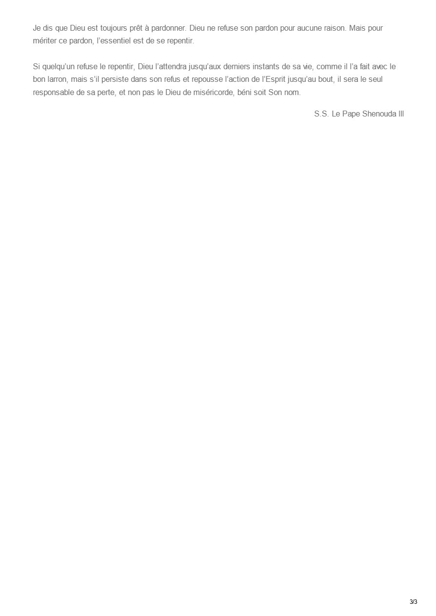 Blasphème contre l'Esprit - Pape Chenouda III - Aperçu 3