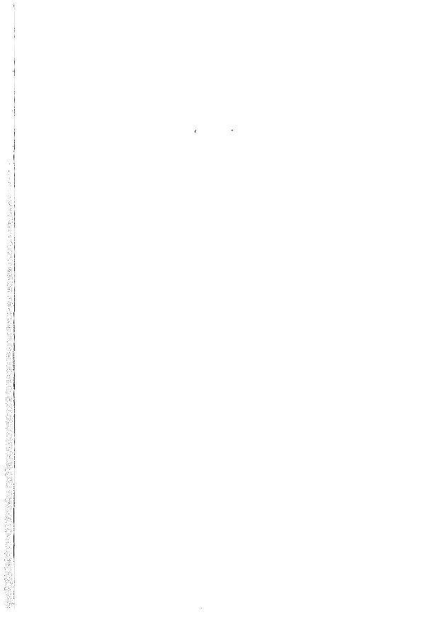 Contemplation de la résurrection - Pape Shenouda-III - Aperçu 2