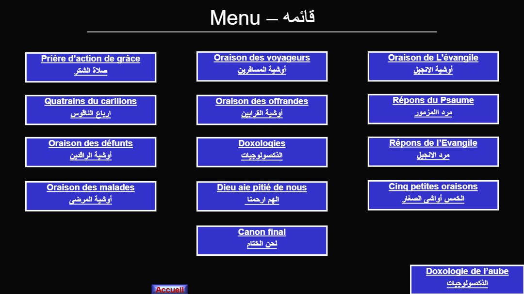 Divine liturgie (Cathédrale) - Aperçu 3
