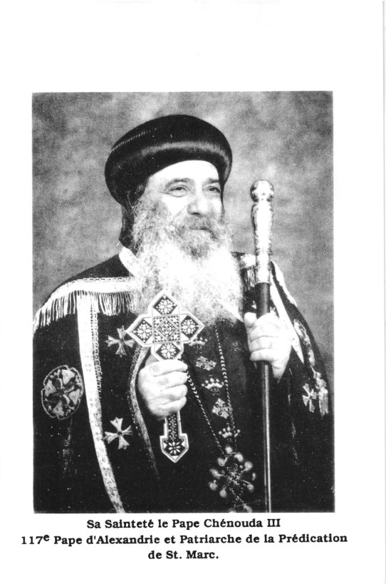 Explication du Credo - Pape Chenouda III - Aperçu 3