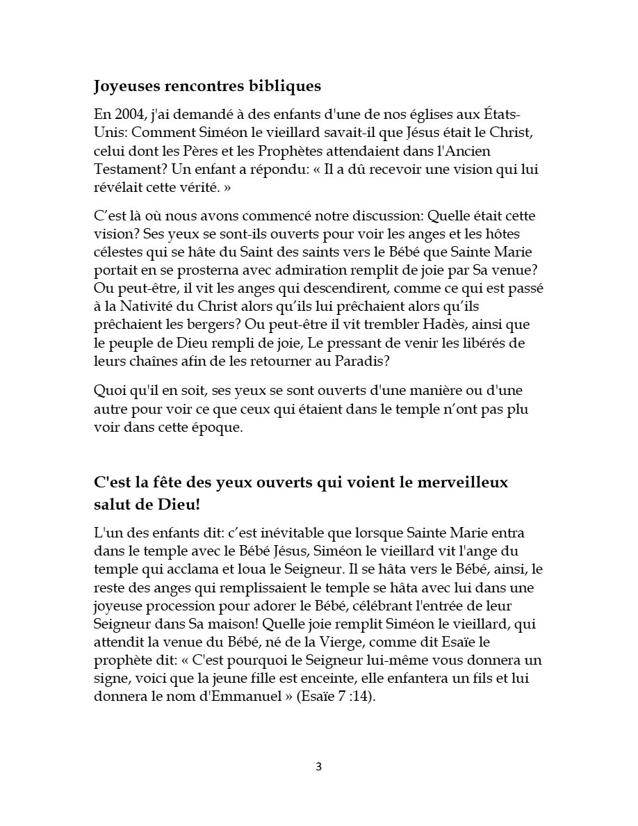 Fête de la présentation du Christ dans le temple - Père Tadros Y. Malaty - Aperçu 4