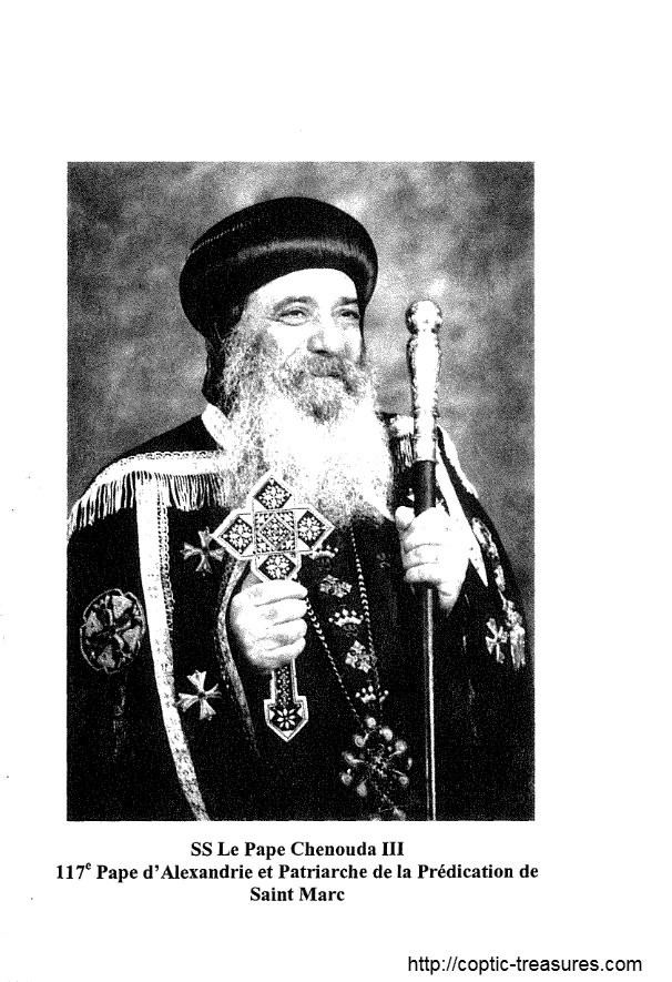 L'Elan de l'Esprit - Pape Shenouda III - Aperçu 4