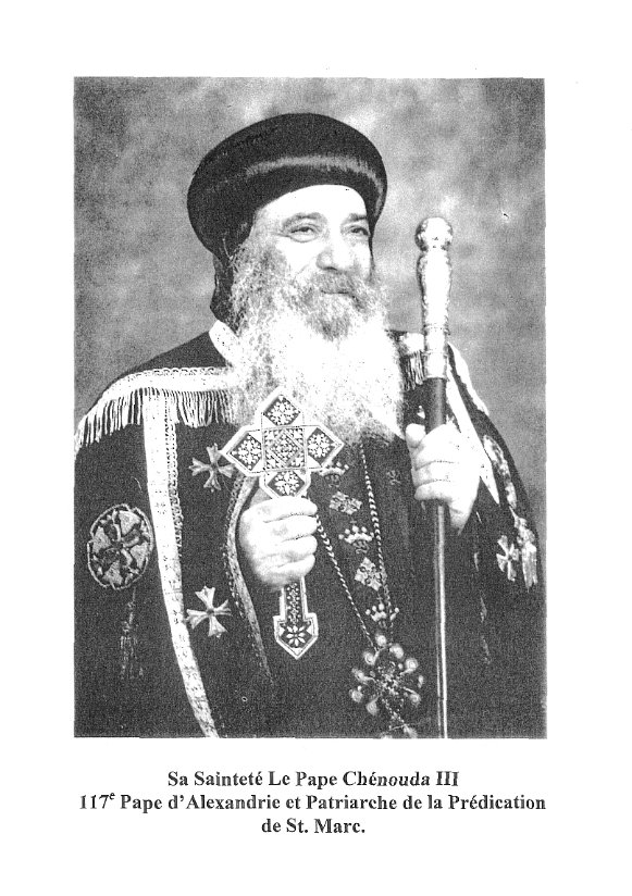 L'Epiphanie et saint Jean-Baptiste - Pape Shenouda III - Aperçu 4