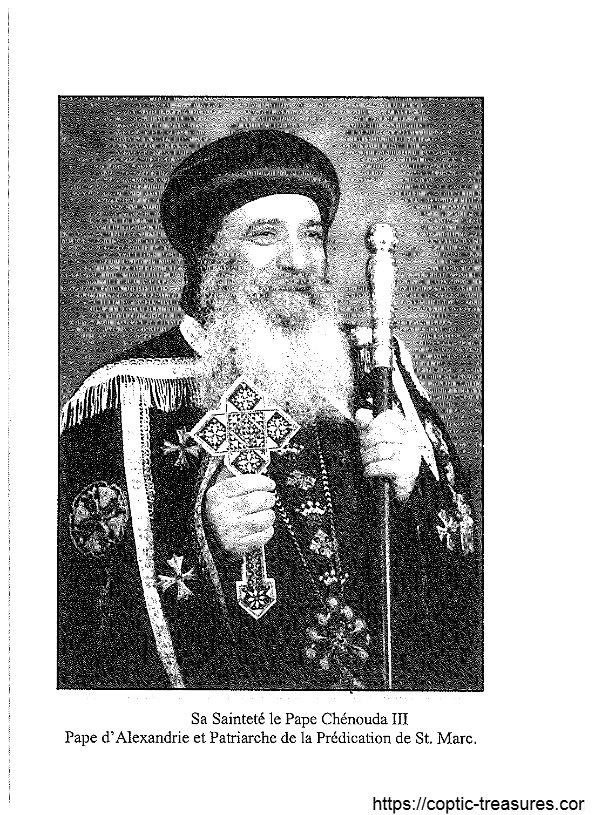 La tentation sur la montagne - Pape Shenouda III - Aperçu 4