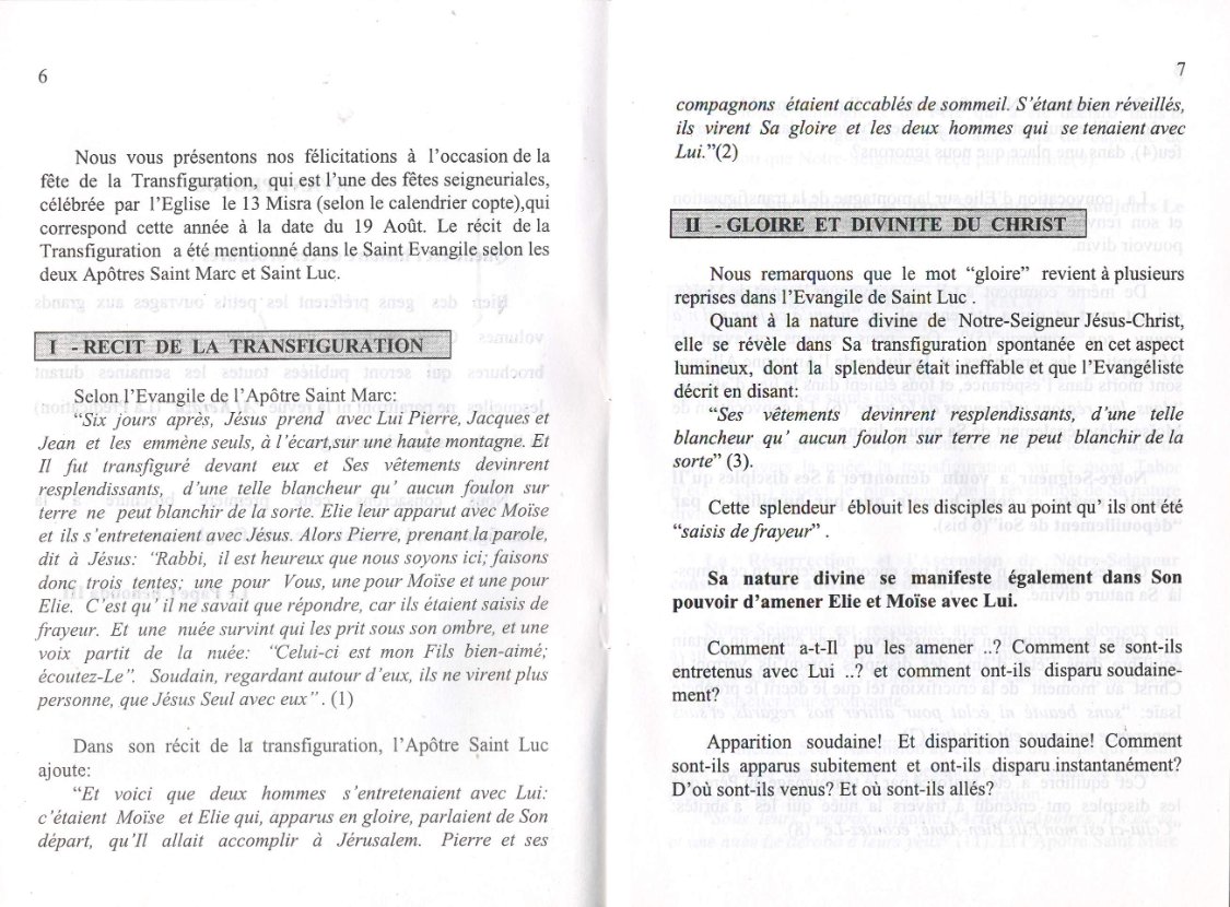 La Transfiguration - Pape Chenouda III - Aperçu 5