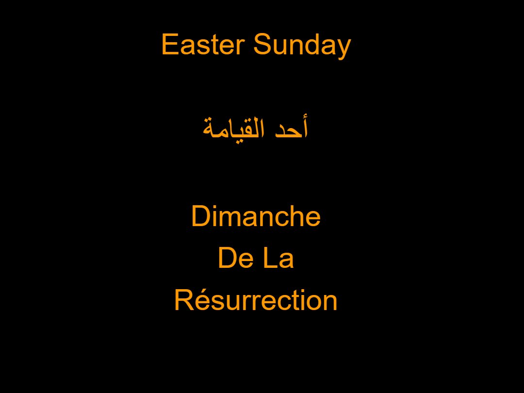 Lectures Dimanche 50 jours Pascal - Aperçu 2