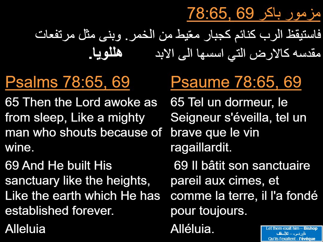 Lectures Dimanche 50 jours Pascal - Aperçu 4