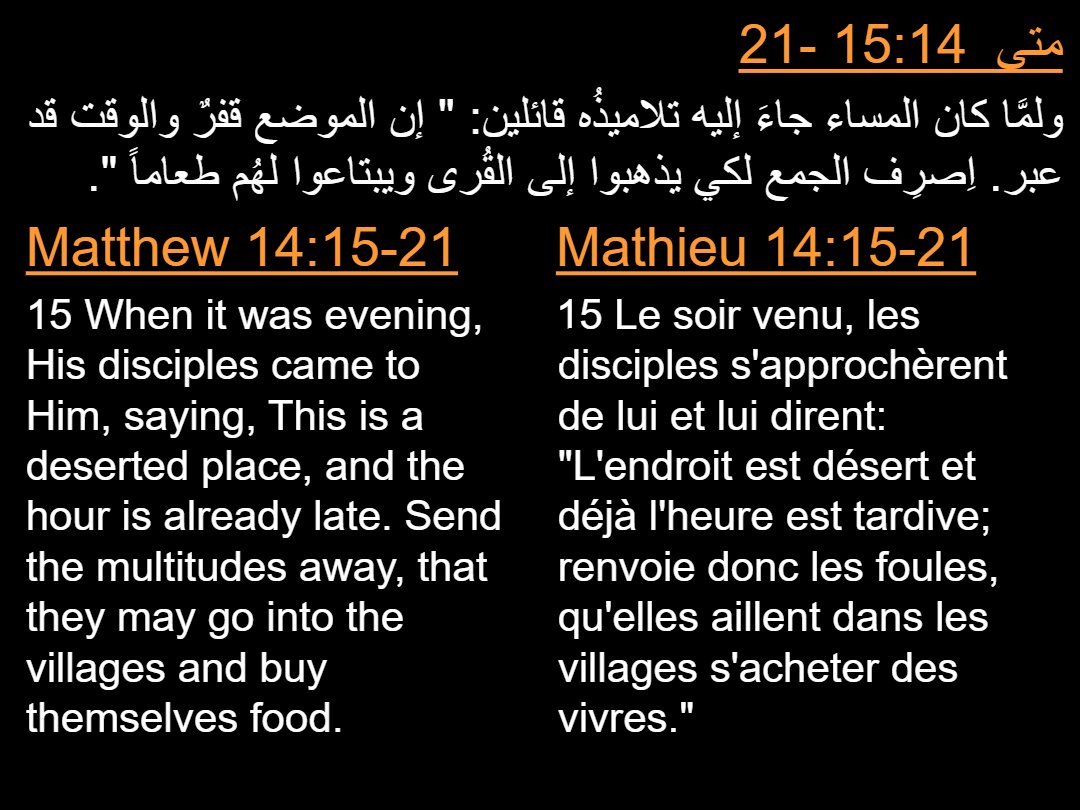 Lectures Dimanche Babah - Aperçu 5