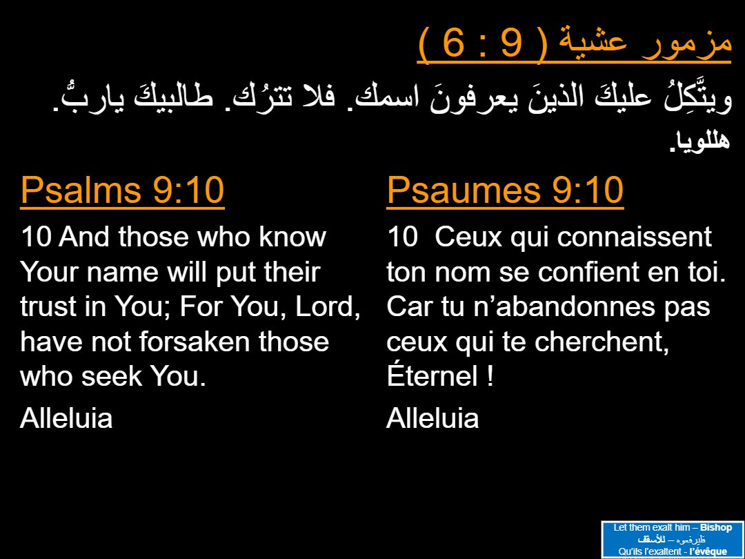 Lectures Dimanche Bashans - Aperçu 4