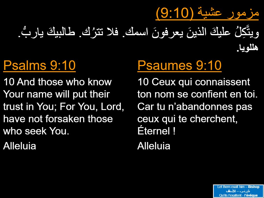 Lectures Dimanche Baounah - Aperçu 4