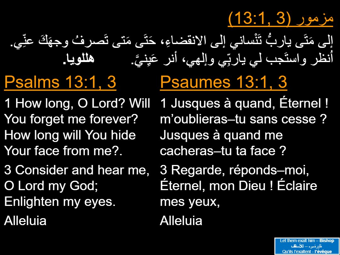 Lectures Dimanche Kiahk - Aperçu 4