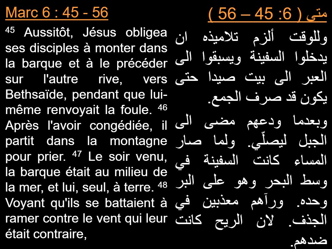 Lectures Dimanche Misra - Aperçu 5