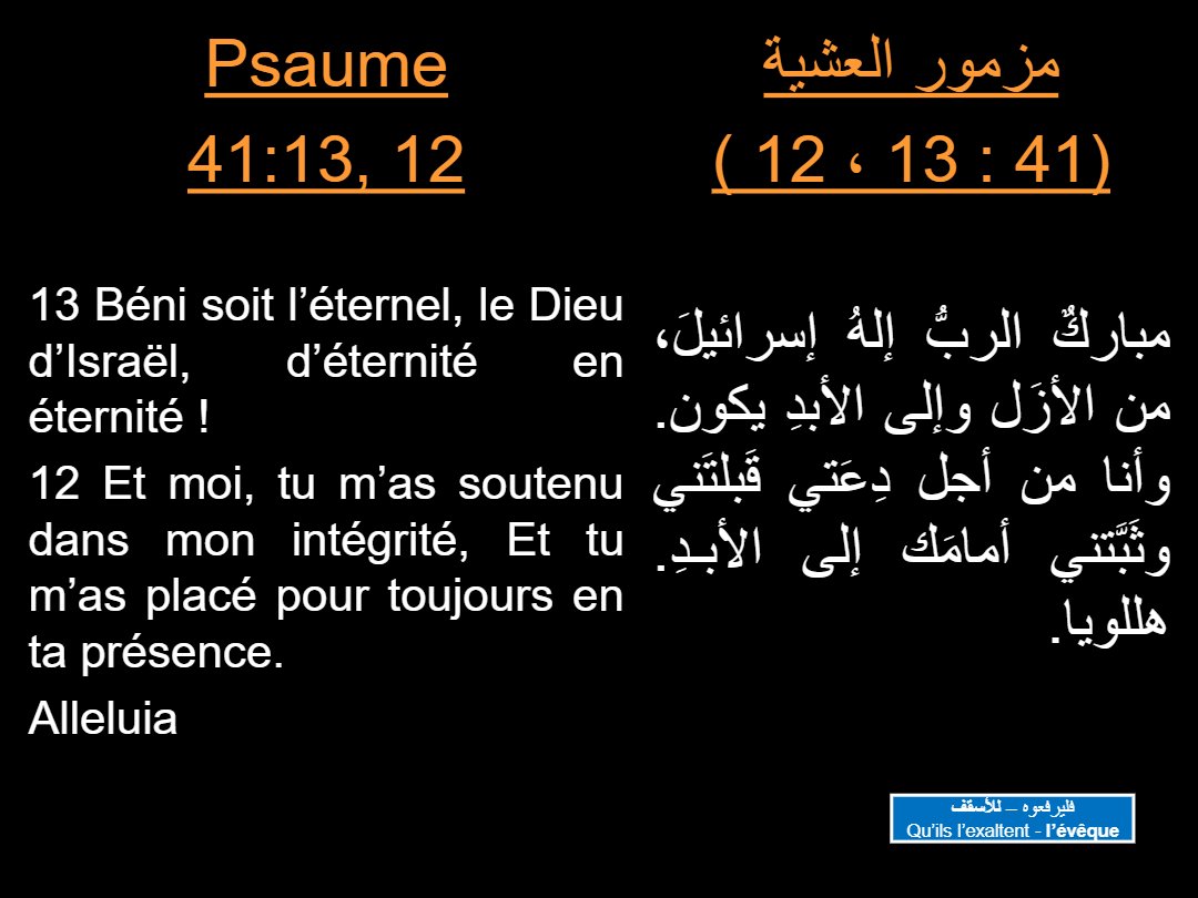 Lectures Dimanche Nasi - Aperçu 4