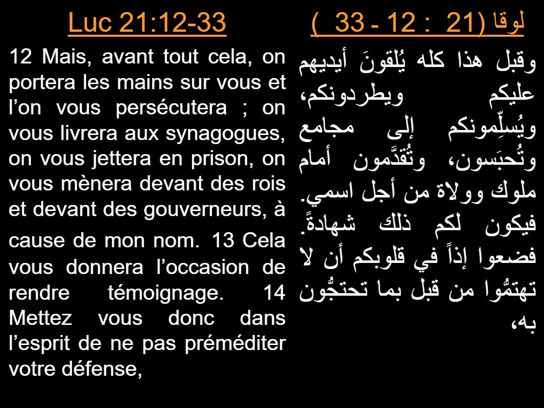 Lectures Dimanche Nasi - Aperçu 5