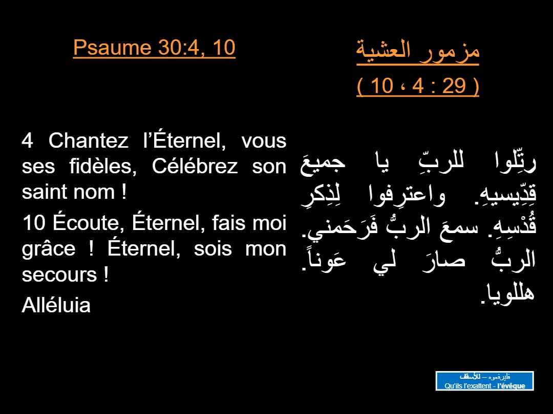 Lectures Dimanche Thout - Aperçu 4