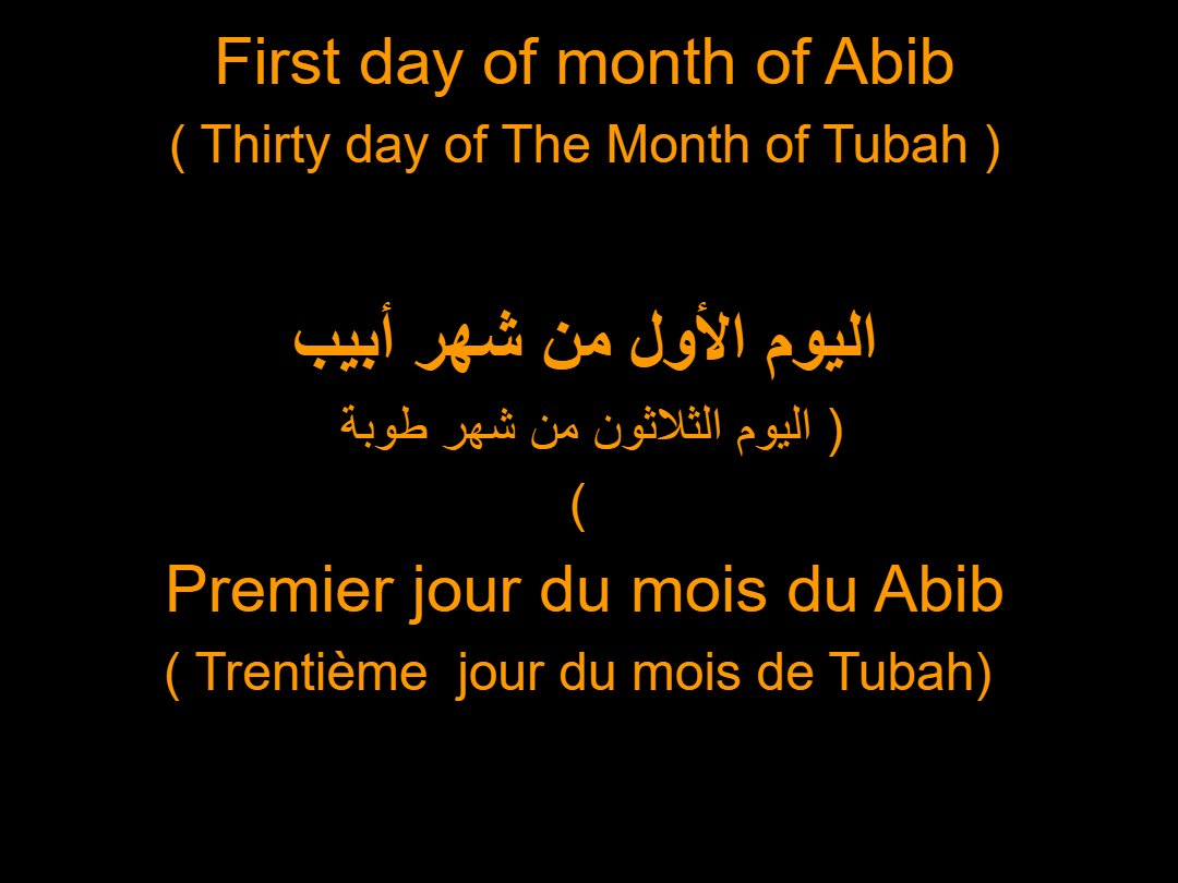 Lectures semaine Abbi - Aperçu 2