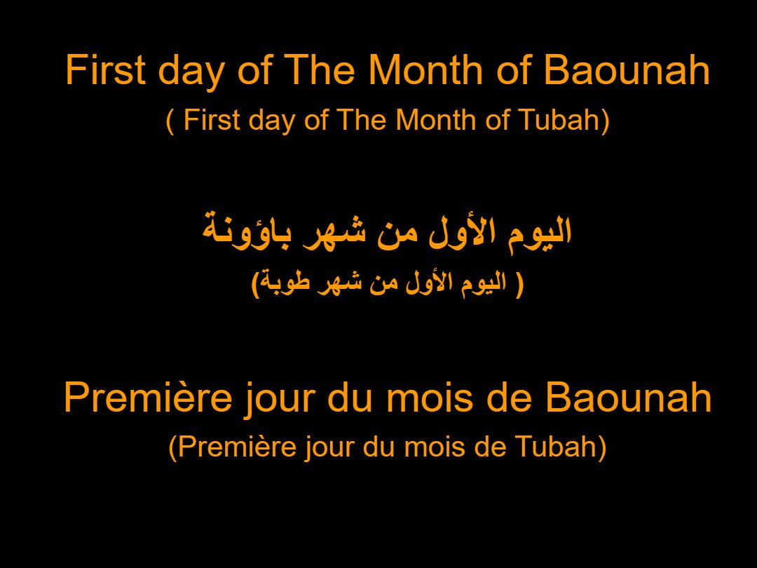 Lectures semaine Baounah - Aperçu 2