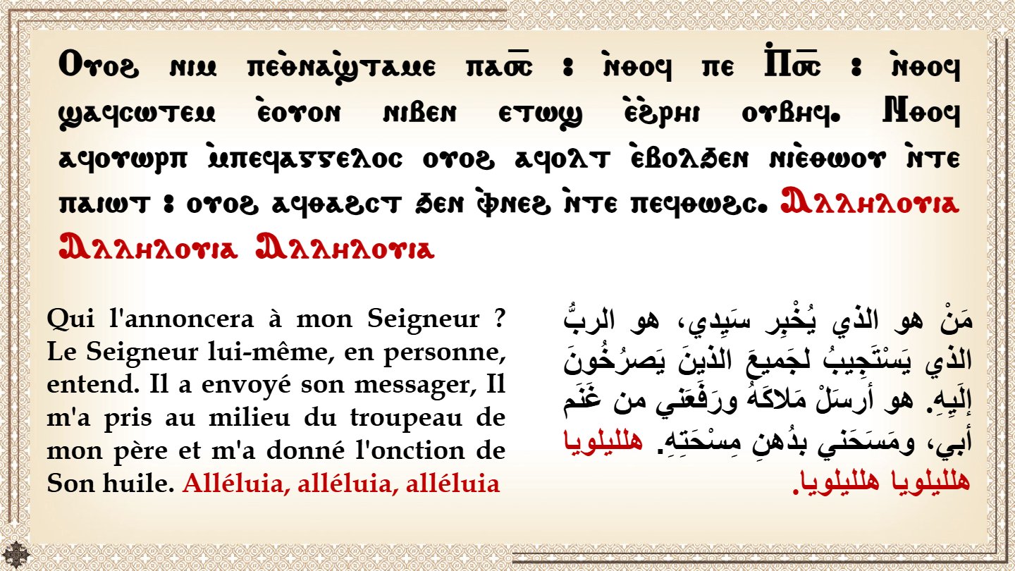 Nuit de l'Apocalypse - Aperçu 4