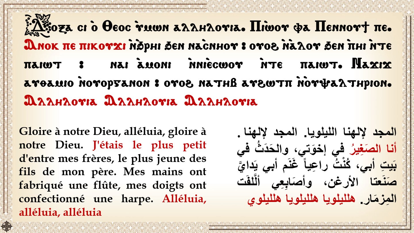 Nuit de l'Apocalypse - Aperçu 3