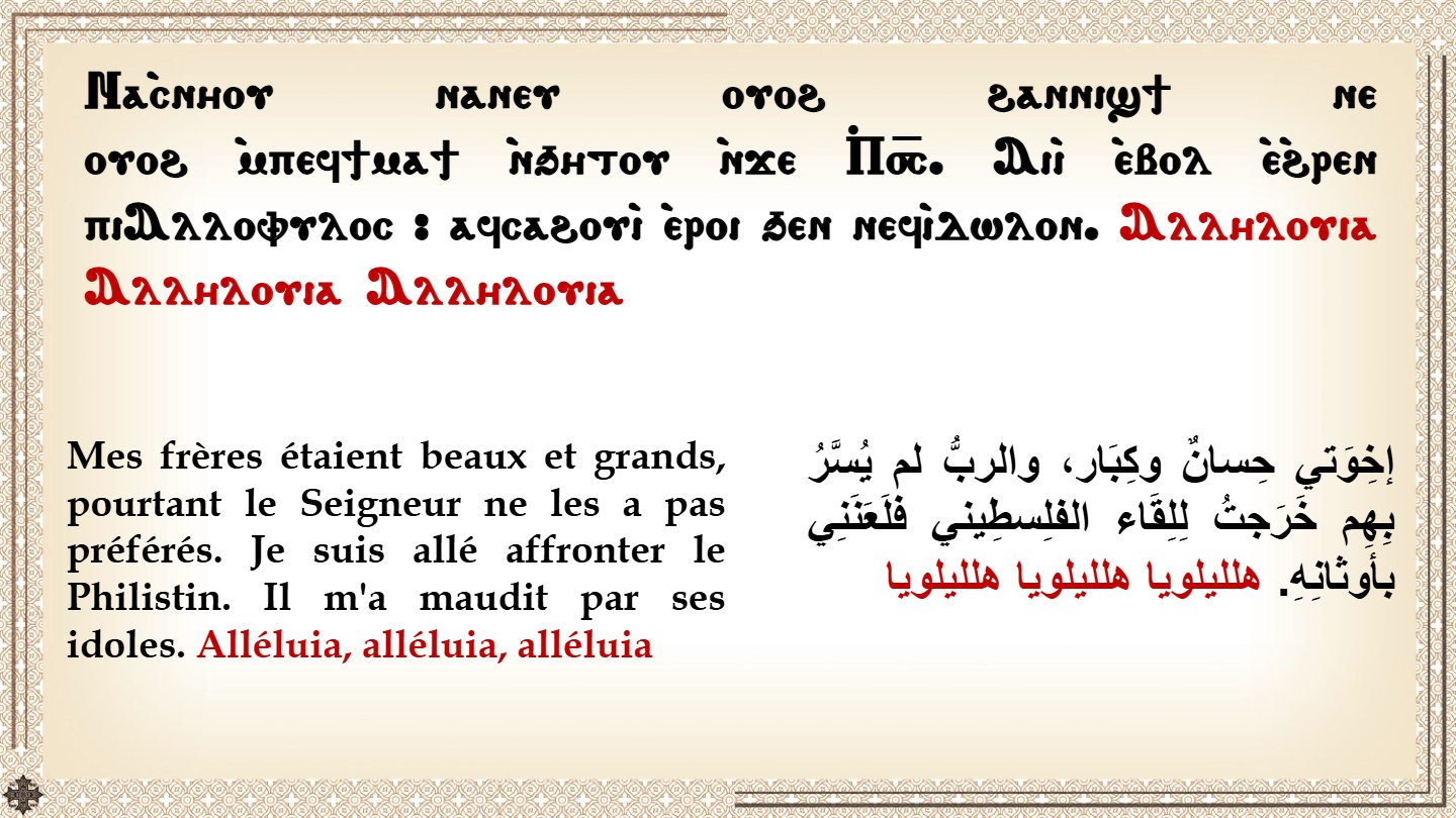 Nuit de l'Apocalypse - Aperçu 5