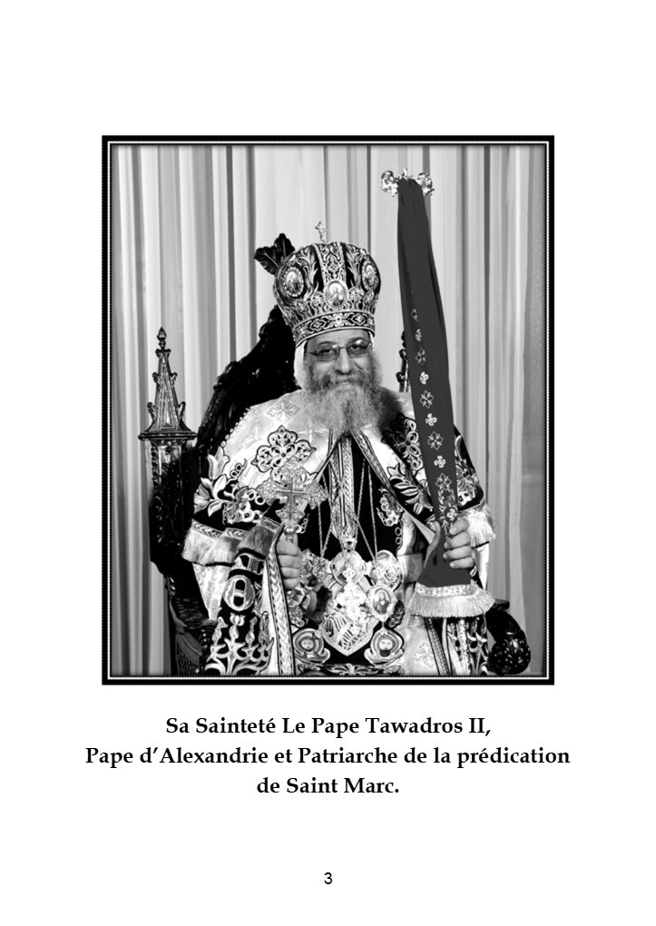 Pourquoi - Fr. Daoud Lamei - Aperçu 3