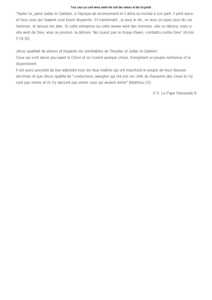 Tous ceux qui sont venus avant moi sont des voleurs et des brigands - Pape Chenouda III - Aperçu 2