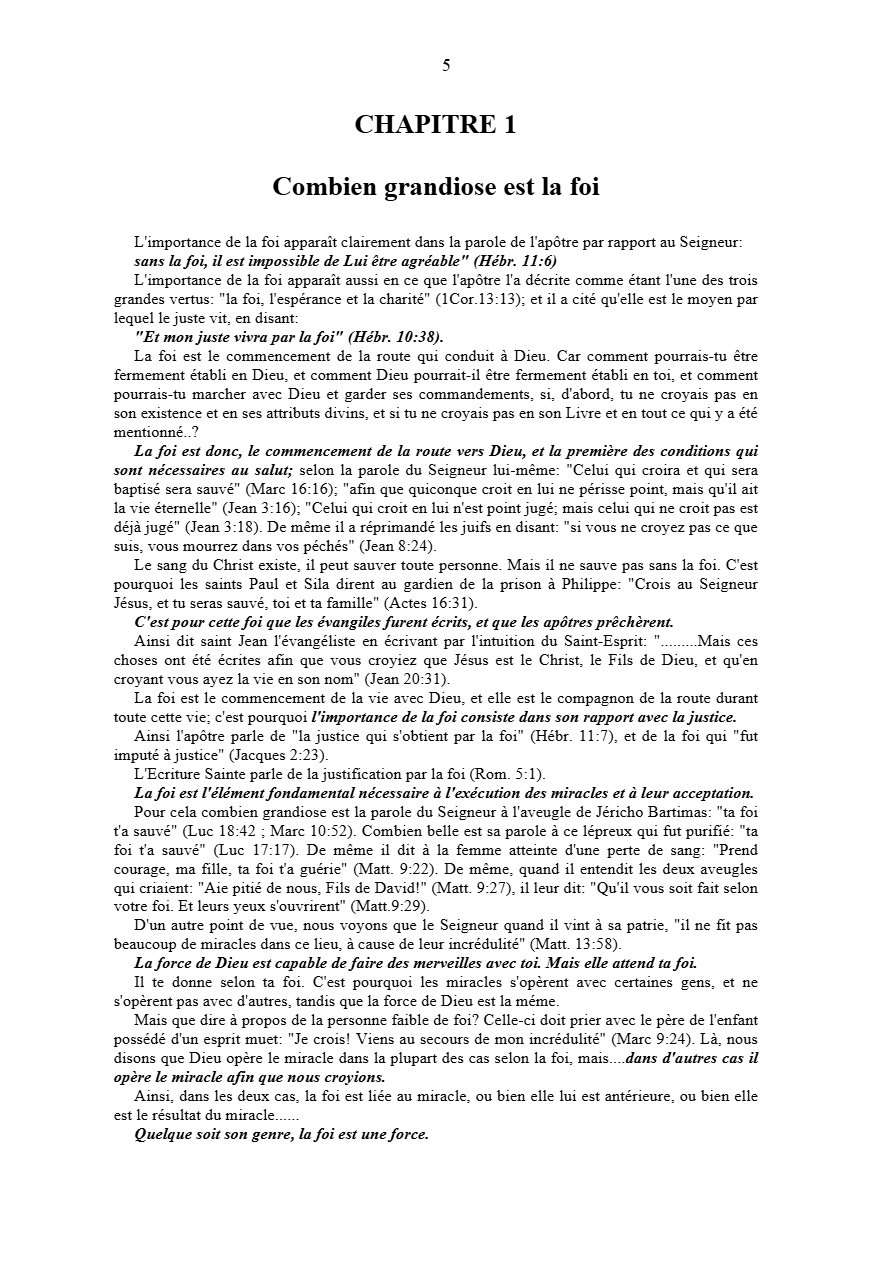 Vie de foi - Pape Shenouda III - Aperçu 5